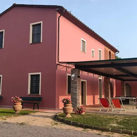 Canavetro * Palaia