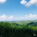 Canavetro * Palaia